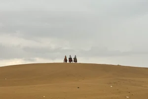 solo road trip rajasthan